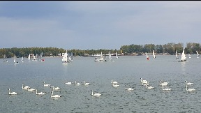 Čišćenje Dunava i priobalja